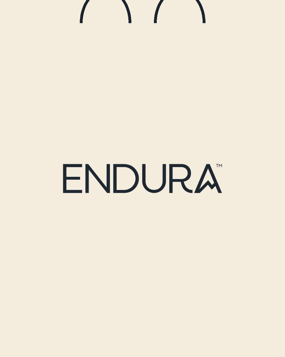 Endura Everyday Tote
